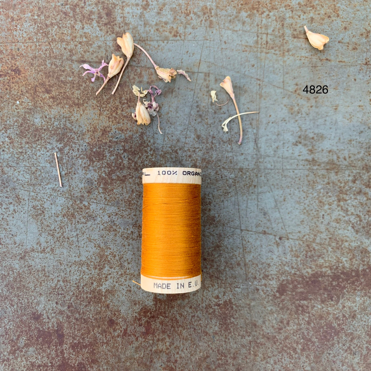 Organic Cotton Sewing Thread | Linha de Coser em Algodão Orgânico