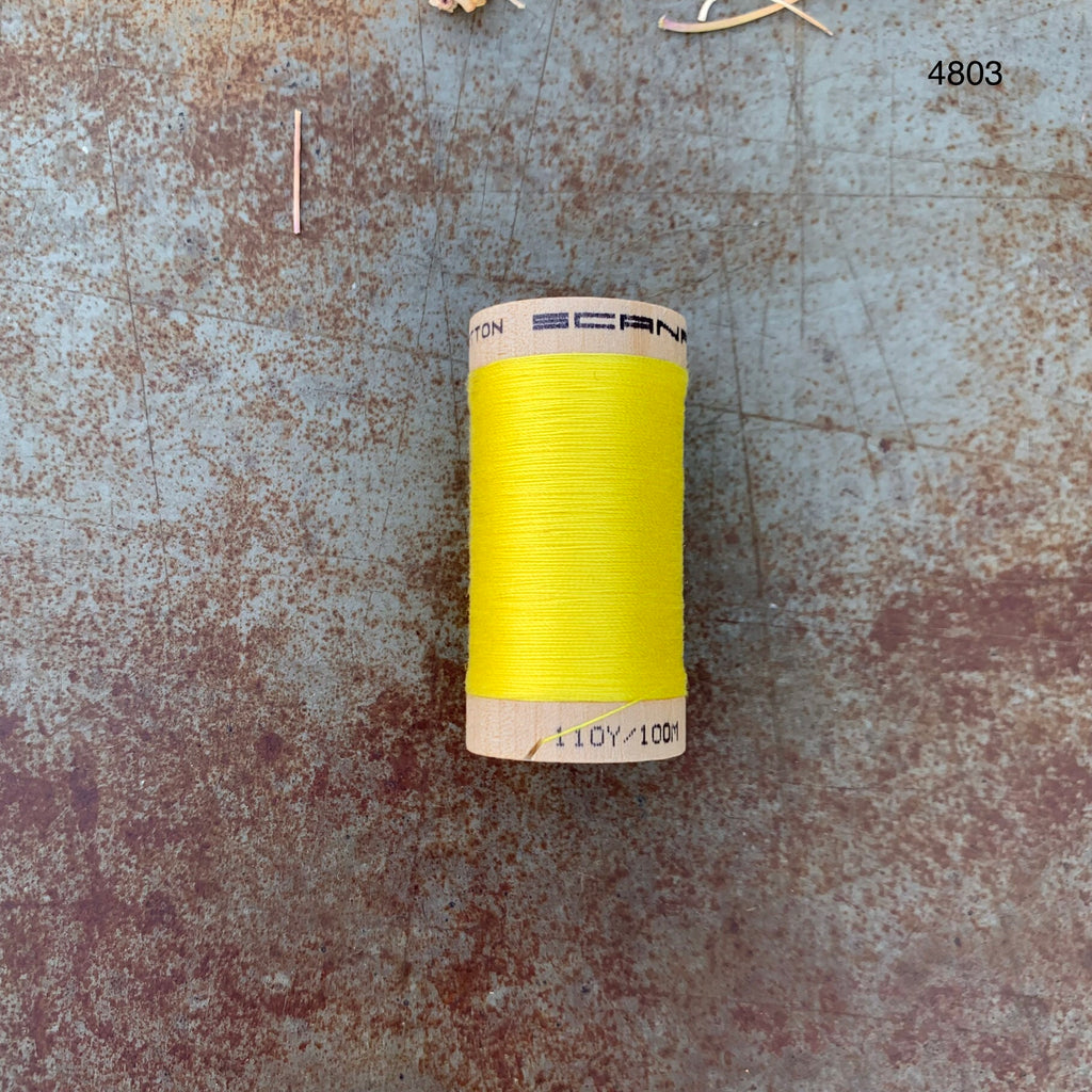 Organic Cotton Sewing Thread | Linha de Coser em Algodão Orgânico