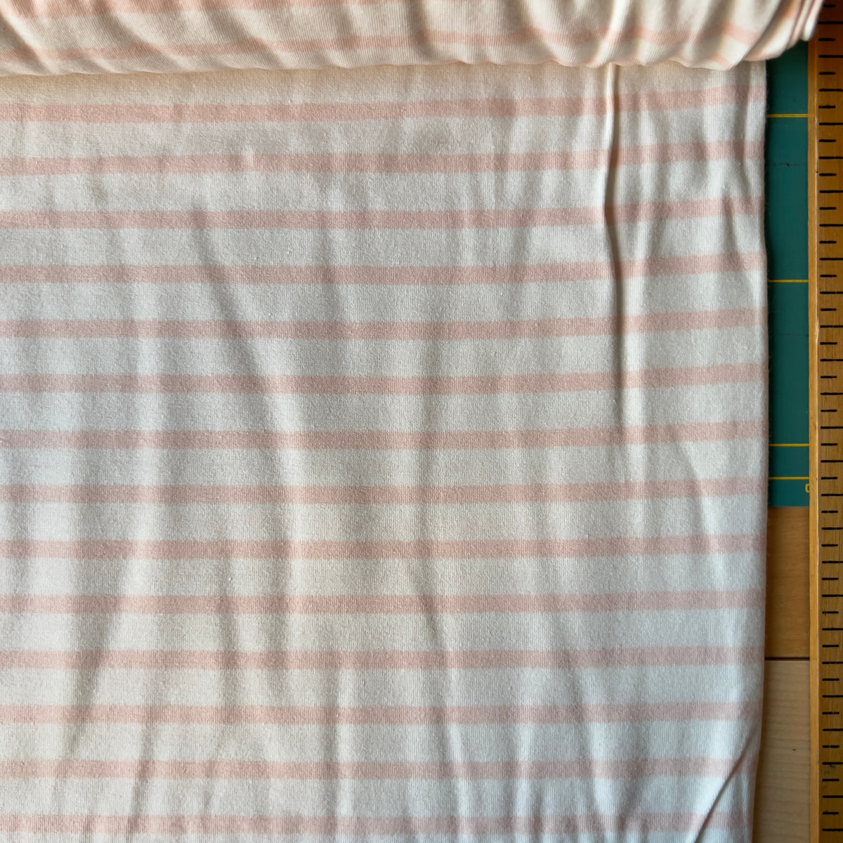 Striped Apart Rose